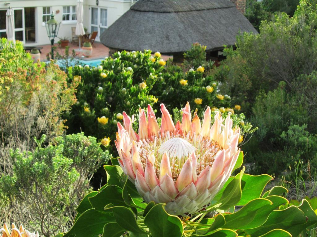 Von Abercron Residence Hermanus Ruang foto